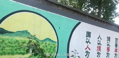 禹州最新爆料新闻视频,揭秘神秘事件背后的真相