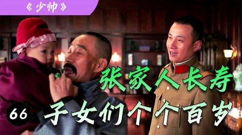 少帅11集在线观看 第1张 少帅11集在线观看 第1张